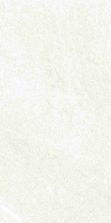 Dhara White Matte 12 x 24
